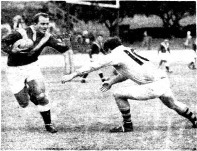 The Magpies soar in the year of the rooster: The 1951 Brisbane Rugby League season